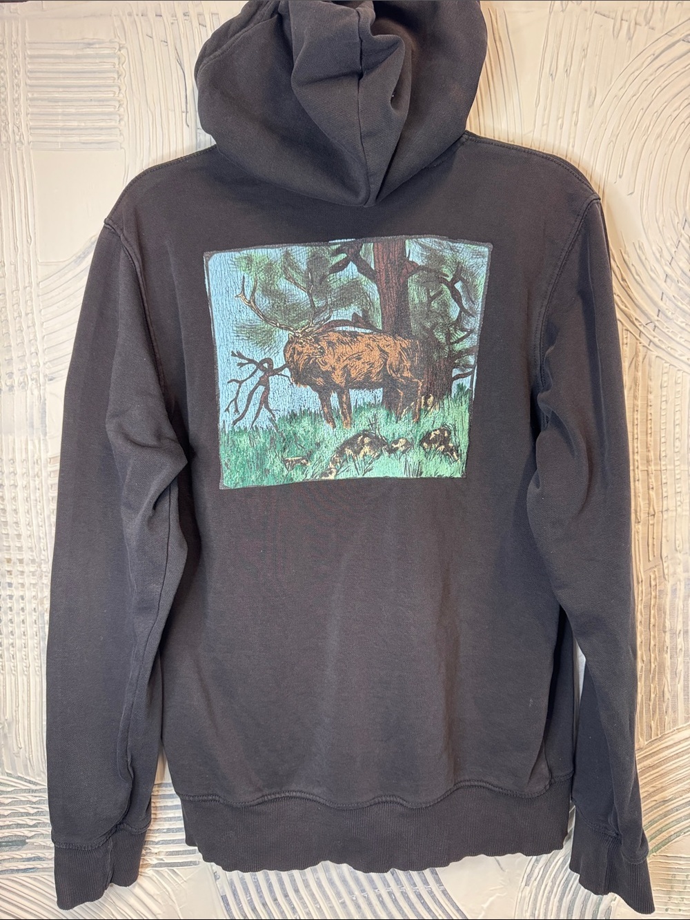 The North Face Black Pullover Hoodie with Wildlife Back Print N0761